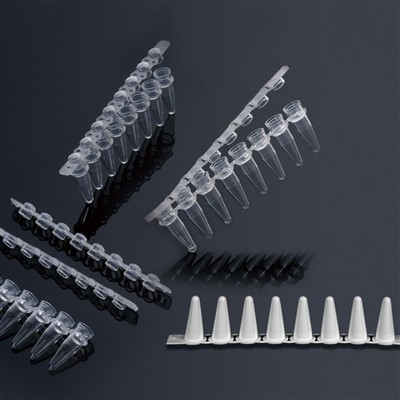0. 1ml 8 Strips Pcr Tube توريد المصنع مباشرة أنبوب PCR معمل بلاستيك يمكن التخلص منه