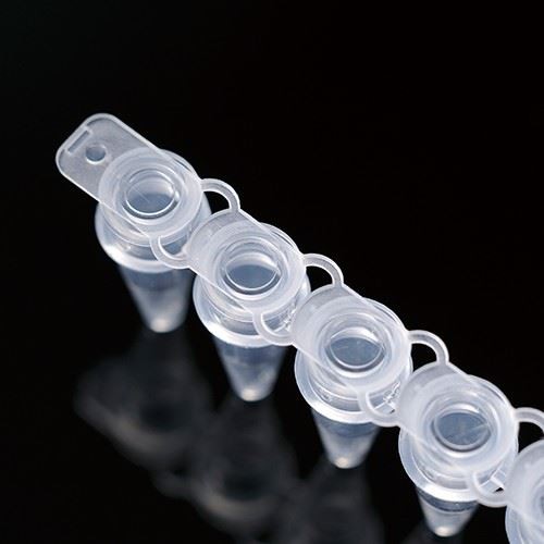 0.2ml PP 8-Strip PCR Tubes For Lab