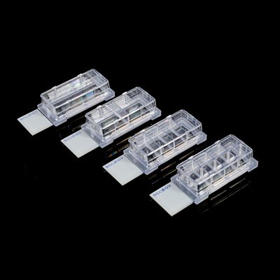 من السهل فتح غرفة الترقيم بس المواد المجهر خلية ثقافة الشريحة