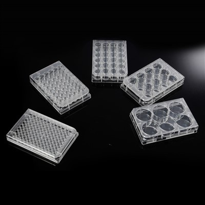 لوحات زراعة خلايا الآبار المتعددة 6- حسنًا ، 96 جيدًا